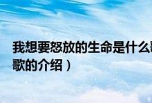 我想要怒放的生命是什么歌（關(guān)于我想要怒放的生命是什么歌的介紹）