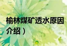 榆林煤礦透水原因（關(guān)于榆林煤礦透水原因的介紹）