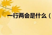 一行兩會是什么（一行兩會是什么意思）