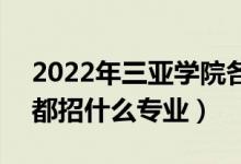 2022年三亞學(xué)院各省招生計(jì)劃及招生人數(shù)（都招什么專業(yè)）