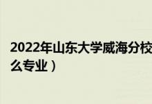 2022年山東大學(xué)威海分校招生計(jì)劃及招生人數(shù)（各省都招什么專業(yè)）