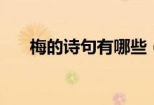 梅的詩句有哪些（和梅花有關(guān)的詩句）