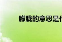 朦朧的意思是什么（朦朧的意思）