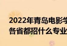 2022年青島電影學(xué)院招生計(jì)劃及招生人數(shù)（各省都招什么專業(yè)）