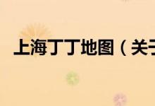 上海丁丁地圖（關(guān)于上海丁丁地圖的介紹）