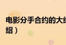 電影分手合約的大結(jié)局（《分手合約》結(jié)局介紹）