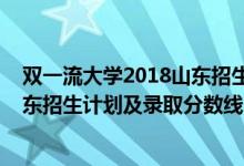雙一流大學2018山東招生分數(shù)線（2022年雙一流大學在山東招生計劃及錄取分數(shù)線）