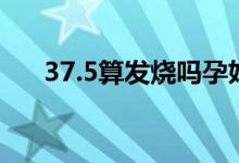 37.5算發(fā)燒嗎孕婦（37.5℃算發(fā)燒嗎）