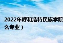 2022年呼和浩特民族學(xué)院招生計(jì)劃及招生人數(shù)（各省都招什么專業(yè)）