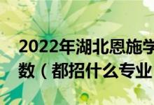 2022年湖北恩施學(xué)院各省招生計(jì)劃及招生人數(shù)（都招什么專業(yè)）
