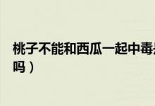 桃子不能和西瓜一起中毒是真的嗎（西瓜跟桃子不能一起吃嗎）
