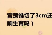 宮頸錐切了3cm還能生育嗎（宮頸錐切術影響生育嗎）