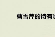 曹雪芹的詩(shī)有哪些（曹雪芹簡(jiǎn)介）