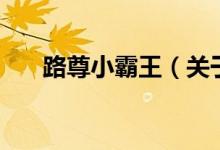 路尊小霸王（關(guān)于路尊小霸王的介紹）