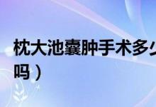 枕大池囊腫手術(shù)多少錢（腦部枕大池囊腫嚴重嗎）