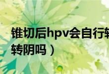 錐切后hpv會自行轉(zhuǎn)陰嗎（錐切后hpv會立馬轉(zhuǎn)陰嗎）