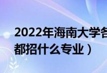2022年海南大學(xué)各省招生計(jì)劃及招生人數(shù)（都招什么專業(yè)）
