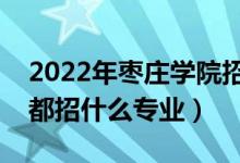 2022年棗莊學(xué)院招生計劃及招生人數(shù)(各省都招什么專業(yè))