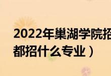 2022年巢湖學(xué)院招生計(jì)劃及招生人數(shù)（各省都招什么專業(yè)）
