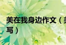 美在我身邊作文（美在我身邊作文600字怎么寫）