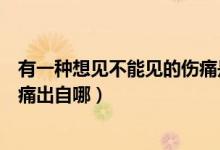 有一種想見不能見的傷痛是什么歌（有一種想見不能見的傷痛出自哪）