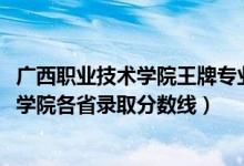 廣西職業(yè)技術(shù)學(xué)院王牌專業(yè)的學(xué)費（2019廣西建設(shè)職業(yè)技術(shù)學(xué)院各省錄取分?jǐn)?shù)線）