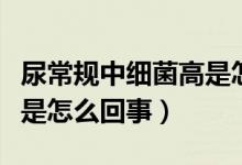 尿常規(guī)中細(xì)菌高是怎么回事（尿常規(guī)中細(xì)菌高是怎么回事）