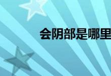 會陰部是哪里（會陰部是哪里）