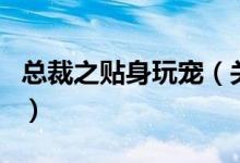 總裁之貼身玩寵（關(guān)于總裁之貼身玩寵的介紹）