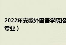 2022年安徽外國(guó)語(yǔ)學(xué)院招生計(jì)劃及招生人數(shù)（各省都招什么專業(yè)）