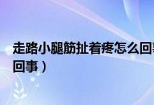 走路小腿筋扯著疼怎么回事（小腿筋疼走路疼痛難忍是怎么回事）