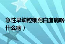 急性早幼粒細(xì)胞白血病啥引起的（急性早幼粒細(xì)胞白血病是什么?。?class=