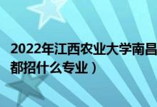 2022年江西農(nóng)業(yè)大學(xué)南昌商學(xué)院招生計(jì)劃及招生人數(shù)（各省都招什么專業(yè)）