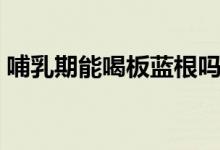 哺乳期能喝板藍(lán)根嗎（哺乳期能喝板藍(lán)根嗎）