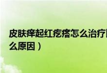 皮膚癢起紅疙瘩怎么治療比較好（小孩皮膚癢起紅疙瘩是什么原因）