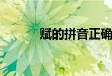 賦的拼音正確寫(xiě)法（賦的拼音）