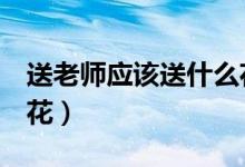 送老師應(yīng)該送什么花（6種適合獻給老師的鮮花）