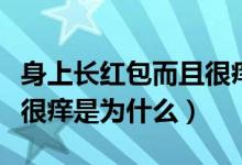 身上長紅包而且很癢是怎么回事（身上長紅包很癢是為什么）