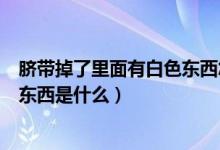 臍帶掉了里面有白色東西怎么回事（臍帶掉了里面有白色的東西是什么）