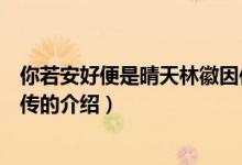 你若安好便是晴天林徽因傳（關(guān)于你若安好便是晴天林徽因傳的介紹）