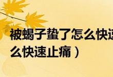 被蝎子蟄了怎么快速止痛偏方（被蝎子蟄了怎么快速止痛）