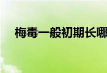 梅毒一般初期長哪里（梅毒一般長哪里）