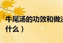 牛尾湯的功效和做法（牛尾湯的做法和功效是什么）