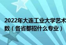2022年大連工業(yè)大學藝術(shù)與信息工程學院招生計劃及招生人數(shù)（各省都招什么專業(yè)）