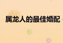 屬龍人的最佳婚配（屬龍人最佳婚配屬相）