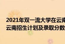 2021年雙一流大學(xué)在云南錄取情況（2022年雙一流大學(xué)在云南招生計劃及錄取分?jǐn)?shù)線）