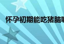 懷孕初期能吃豬腦嘛（剛懷孕能吃豬腦嗎）