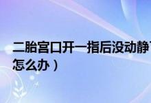 二胎宮口開一指后沒動靜了怎么辦（宮口開一指后沒動靜了怎么辦）