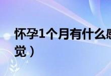 懷孕1個月有什么感覺（懷孕1個月有什么感覺）
