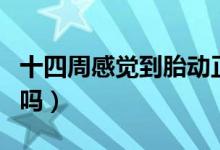 十四周感覺到胎動(dòng)正常嗎（懷孕十四周有胎動(dòng)嗎）